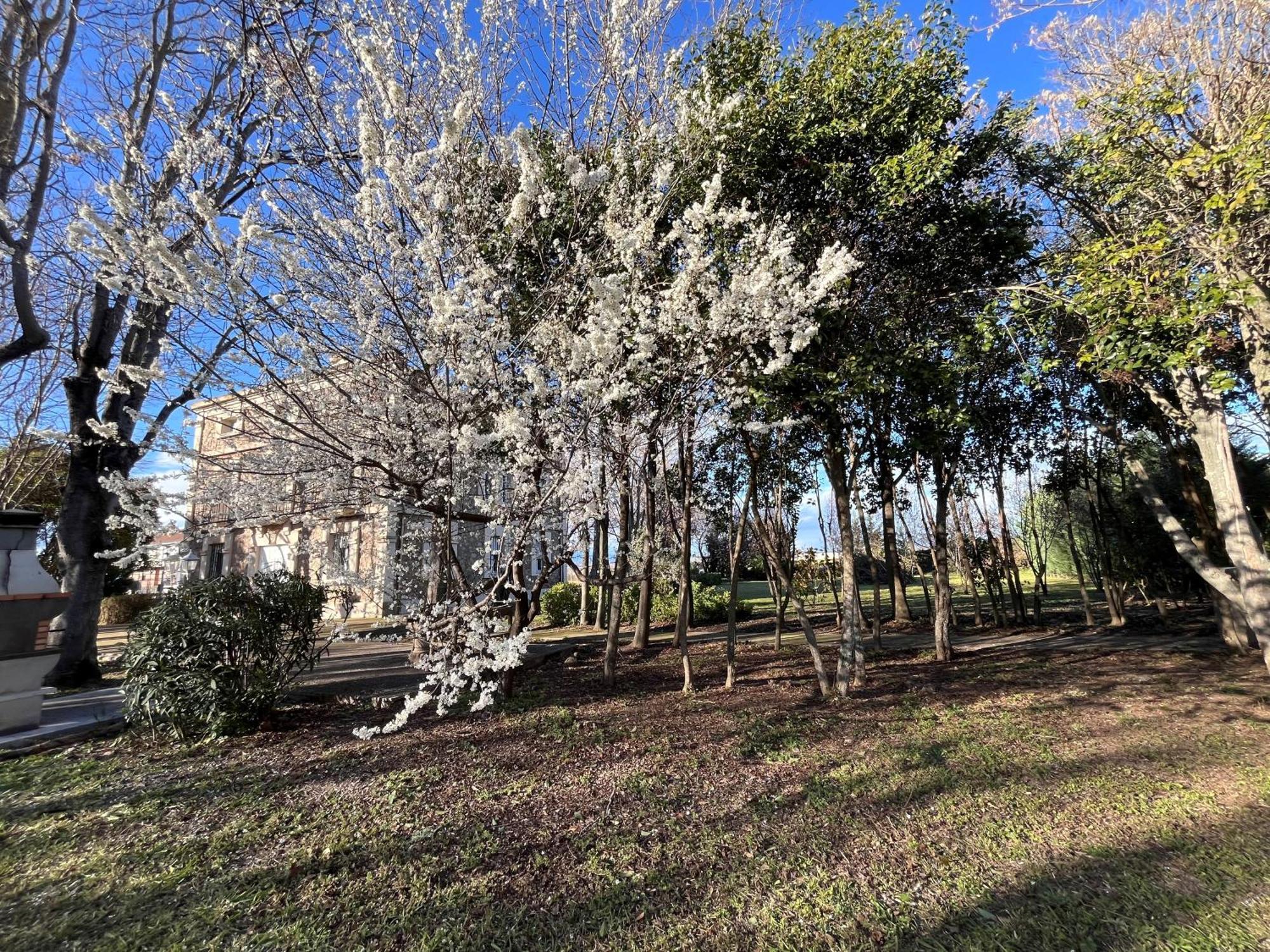 Villa Merenciana Agoncillo Exteriér fotografie